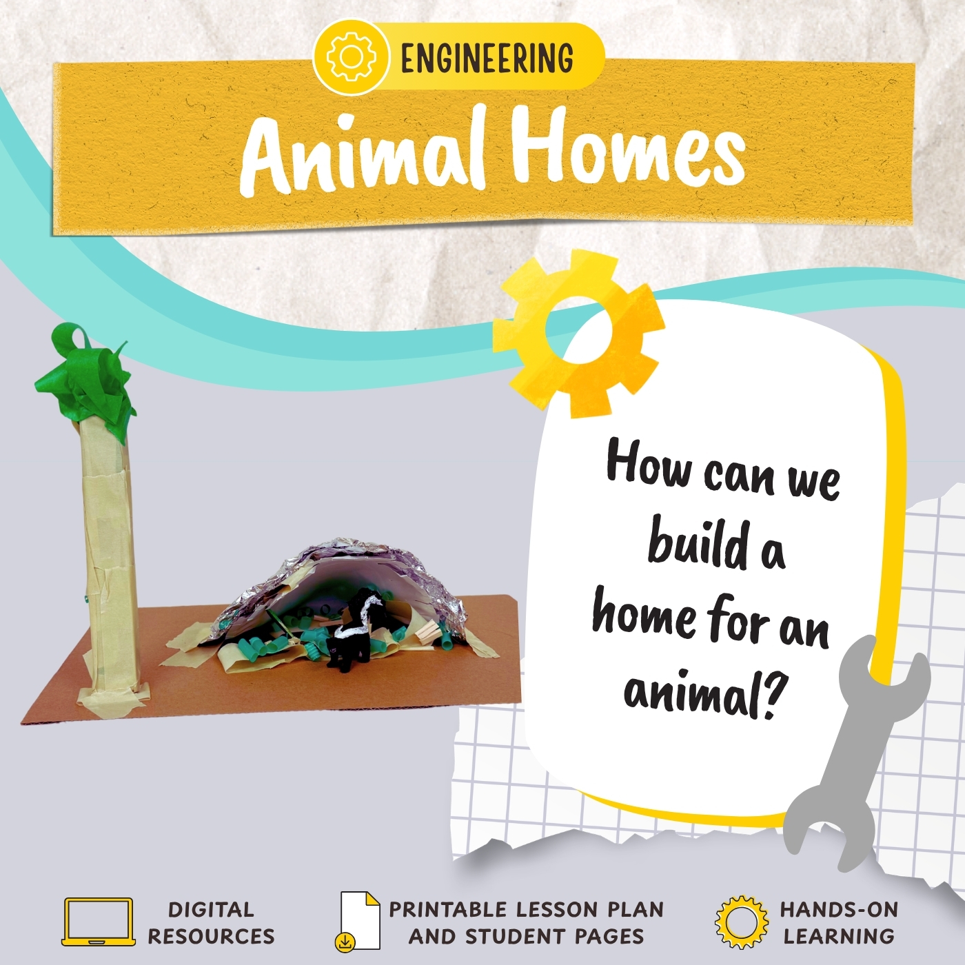Animal Homes