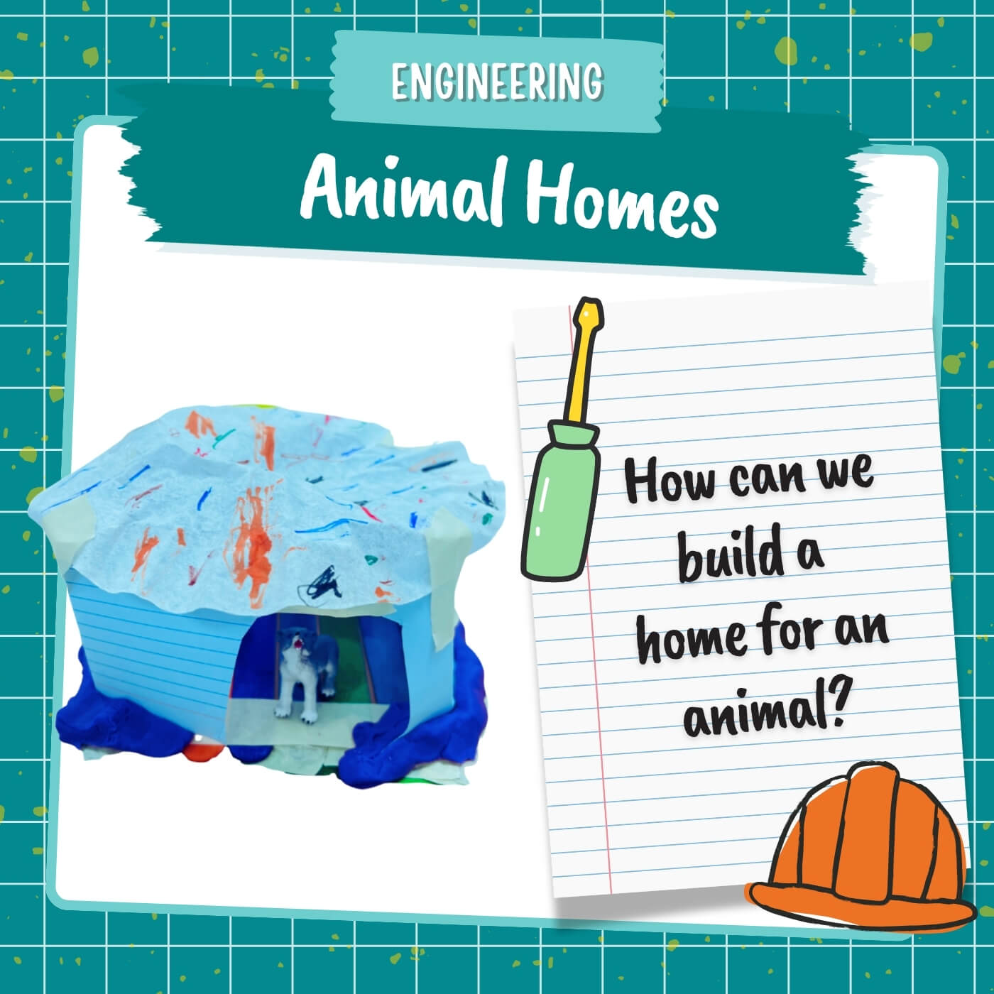 Animal Homes