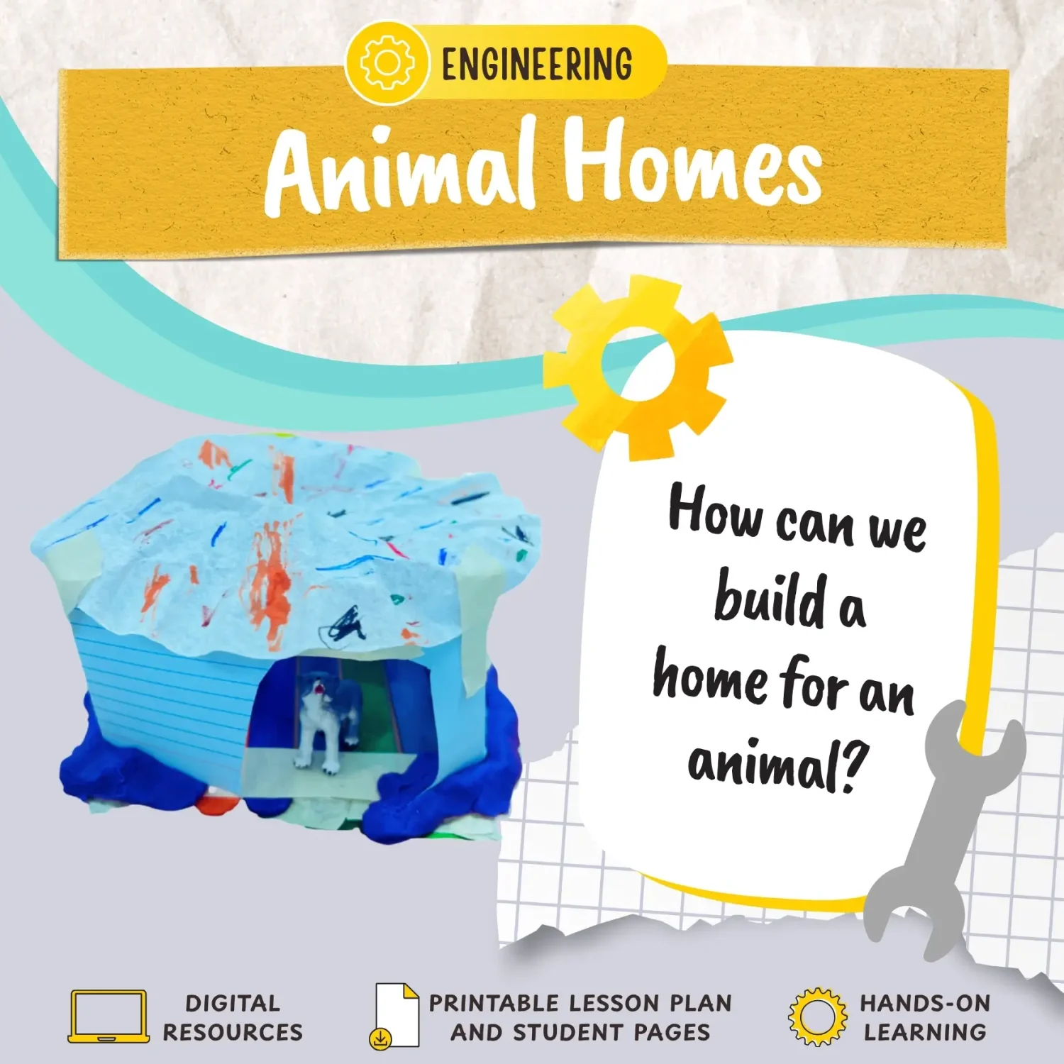 Animal Homes