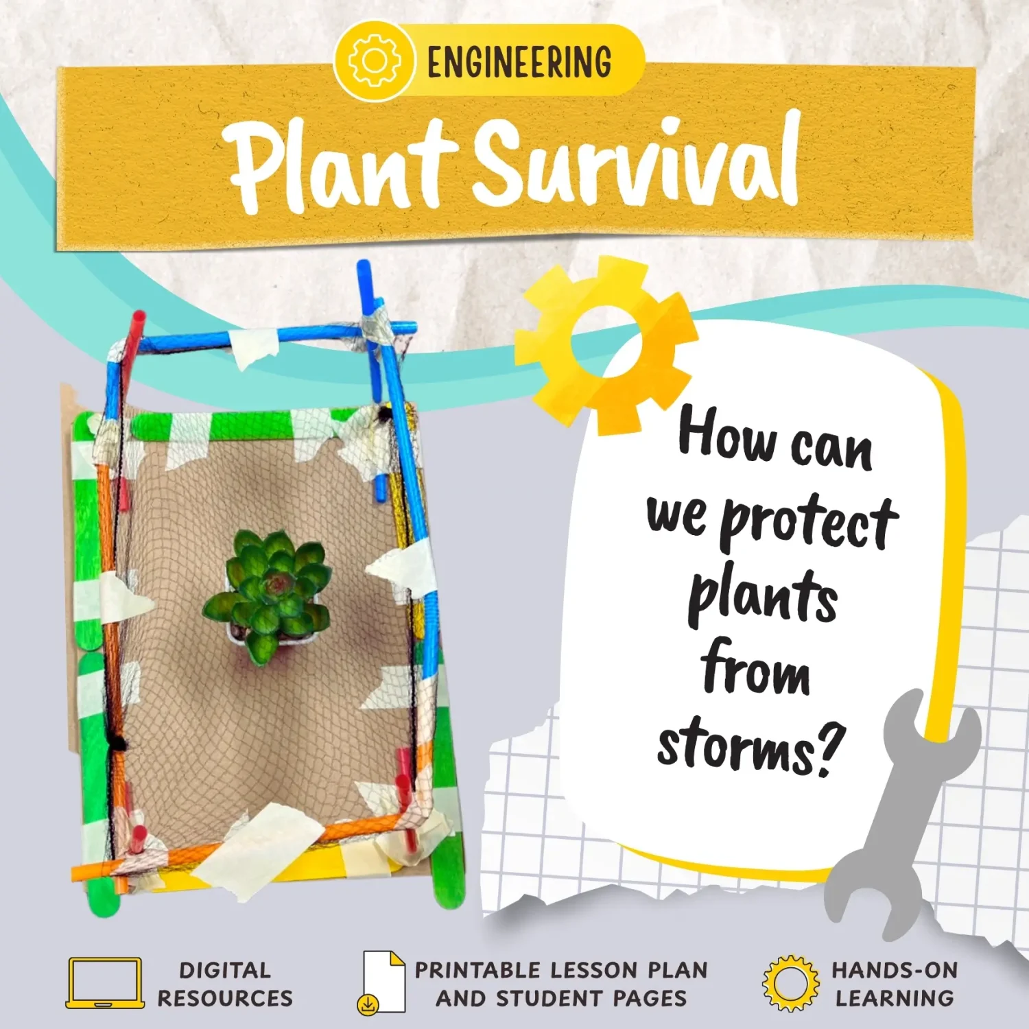 Plant Survival