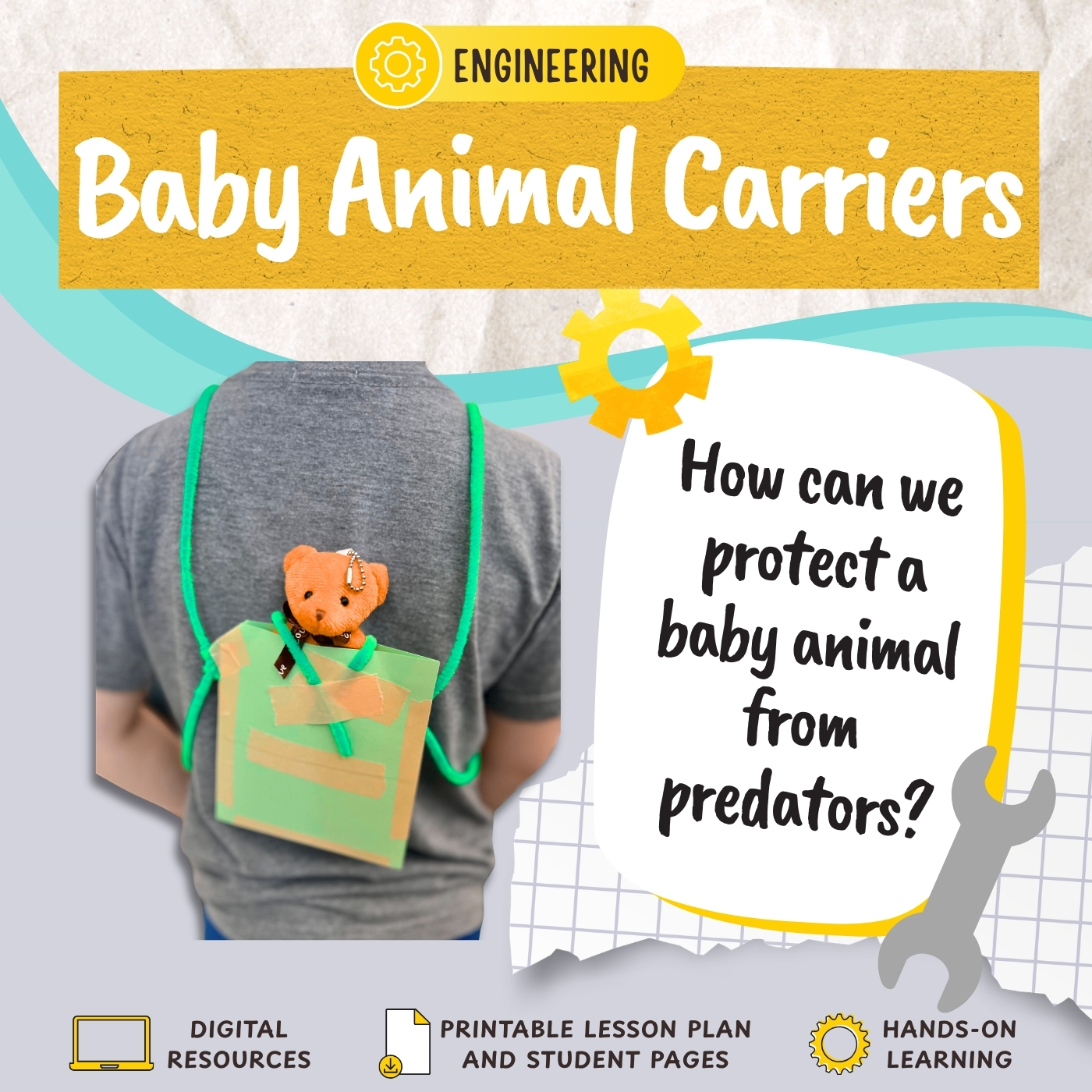 Baby Animal Carriers
