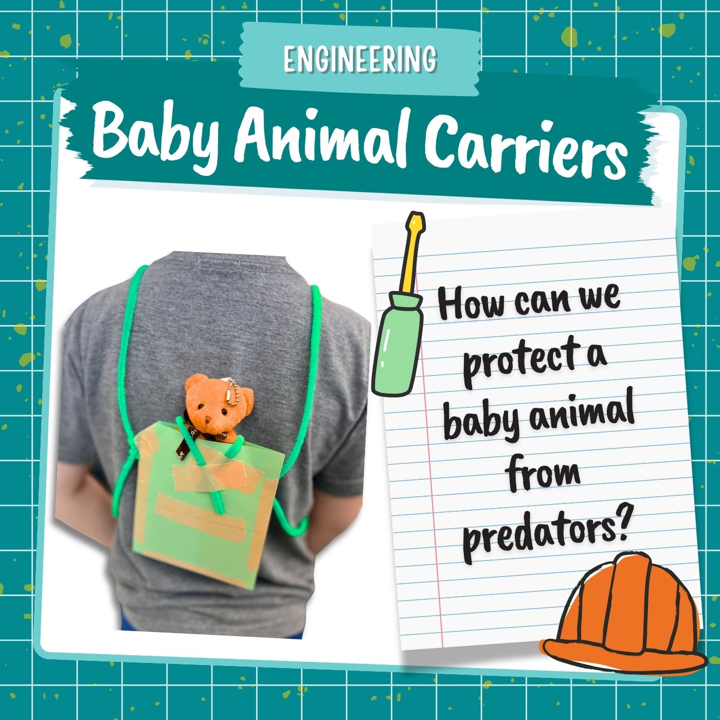 Baby Animal Carriers