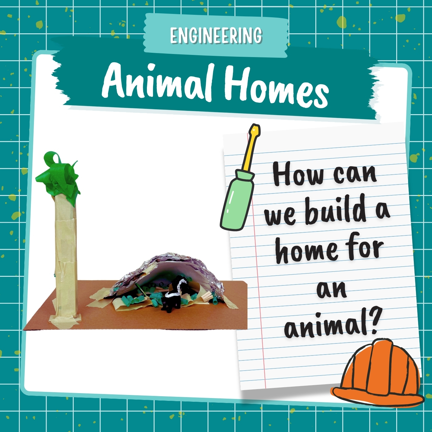 Animal Homes